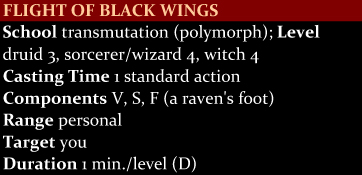 Flight of Black Wings